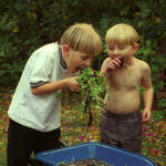 Two Peas in a Podcast