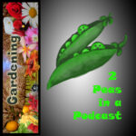 Two Peas in a Podcast