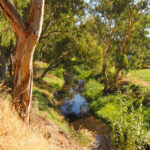 Gawler Library and Civic Centre